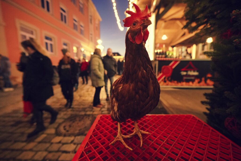 Weihnachtsmarkt