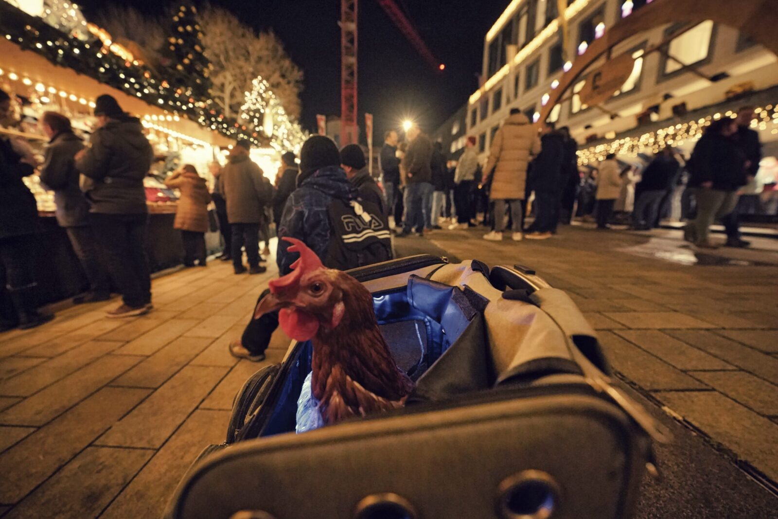 Huhn im Rucksack Weihnachtsmarkt stuttgart vor menge