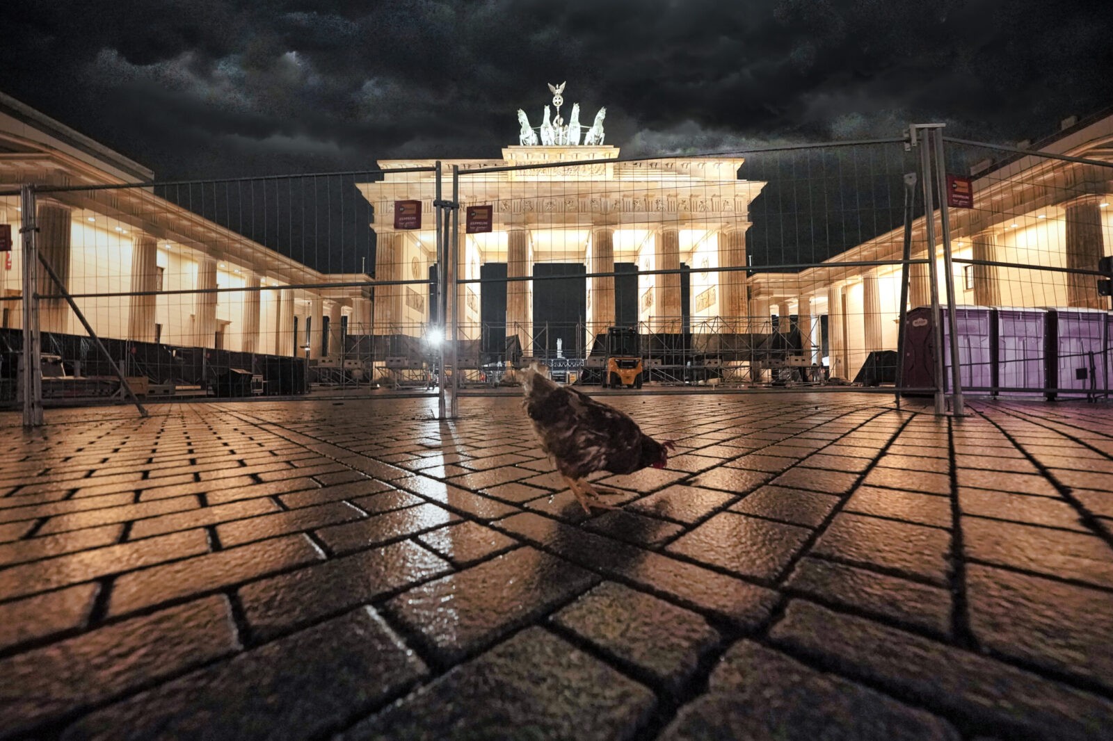 Dotty vor Brandenburger Tor