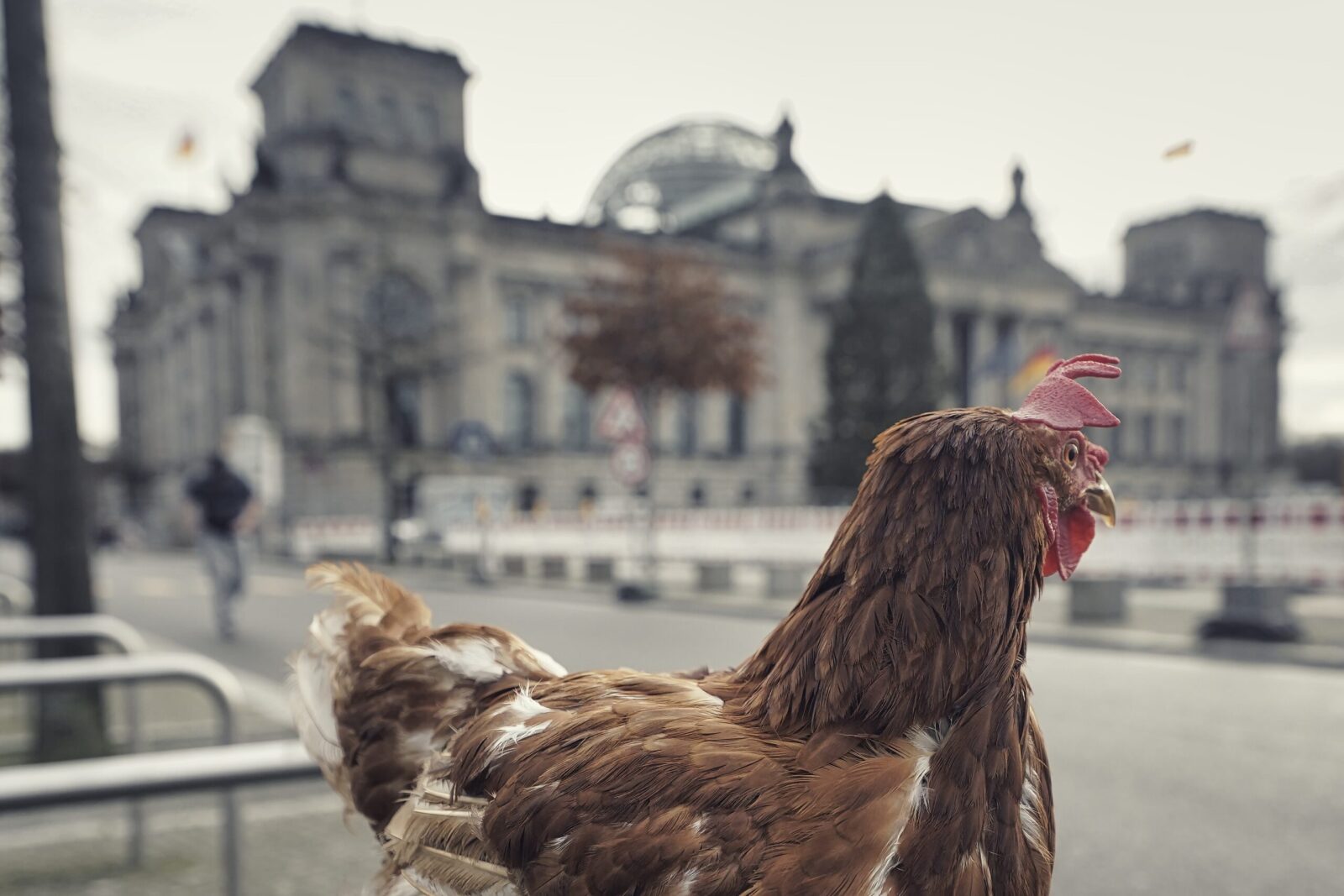 Dotty vor Reichstag