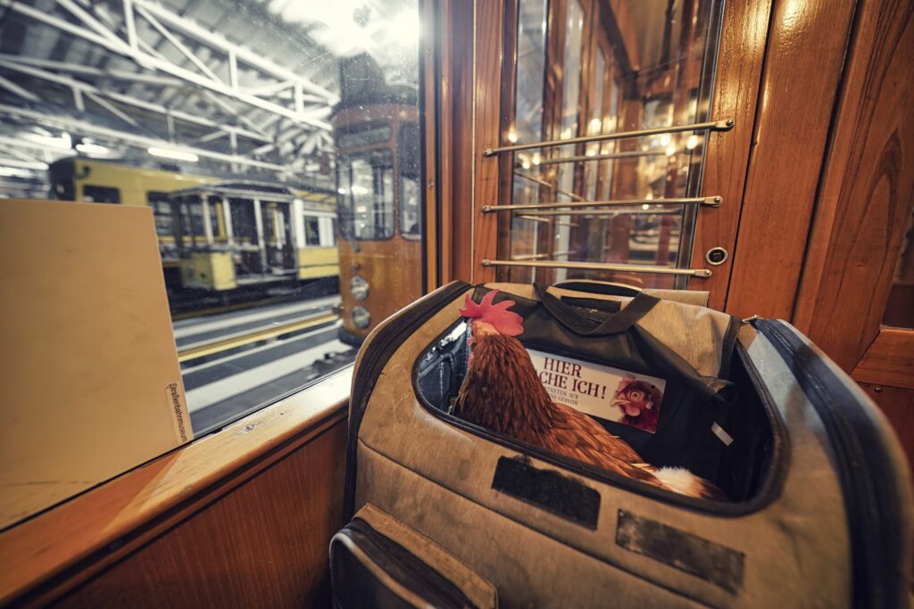 Dotty in historischer Straßenbahn
